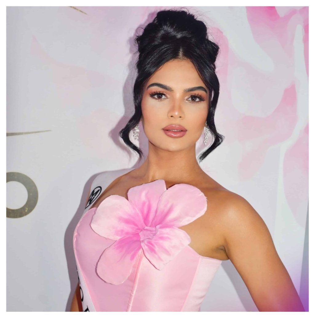 Presentan candidatas a Miss Mundo Dominicana 2025 participa modelo que ...